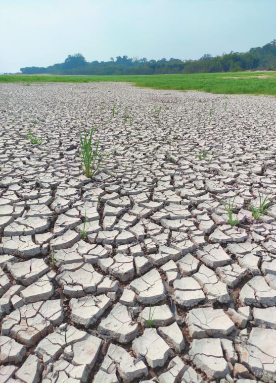 全球干旱已达前所未有的紧急状况