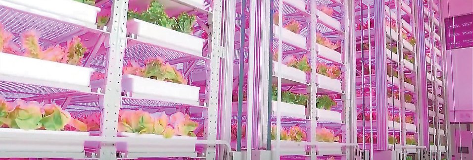 从田间到云端：农作物植保员的职业进化论