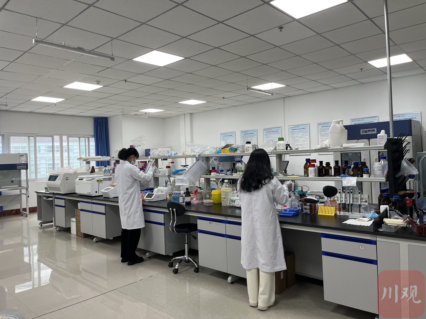 在重点实验室内,副研究员石明松正在带领团队开展相关药物的研发