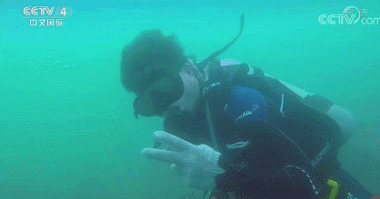 杨旭聪的团队潜水进行普查工作