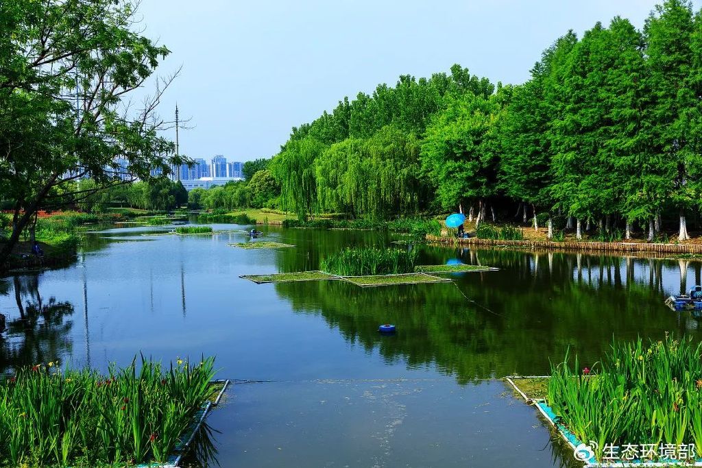 第二批美丽河湖优秀案例⑧ | 江苏苏州吴淞江