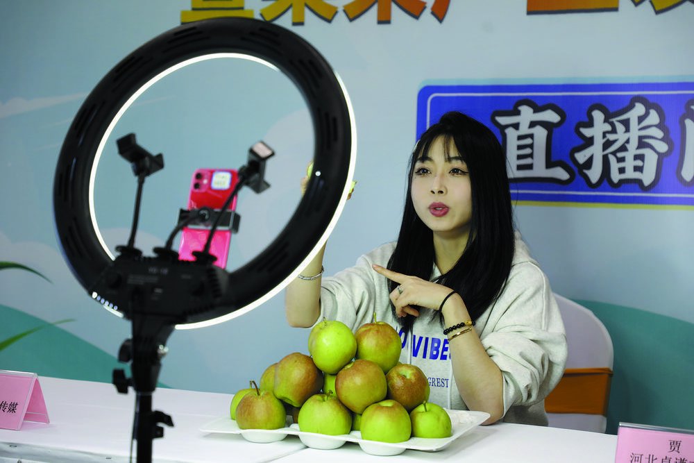 新农人忙直播让冬闲变为热销季 ——石家庄市农村电商产业快速发展