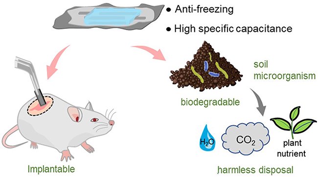 可植入微型超级电容器示意图。其在-20℃条件下仍可以正常工作。研制出了可自然降解且生物相容的可植入微型超级电容器。由于器件使用的所有高分子材料均具有可降解特性，并采用羧甲基纤维素和膨润土调节电极和电解质浆料的流变性，在环境友好和可植入式储能器件开发方面取得新进展，该微型超级电容器在天然土壤中90天左右实现了顺利降解。中国科学院大连化学物理研究所研究员吴忠帅团队和辽宁省肿瘤医院张鑫丰教授团队合作，</p><p cms-style=
