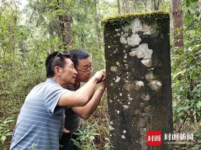 封面新闻记者与南江县文管所专家孙凯一起查看米仓古道碑刻。曾业 摄