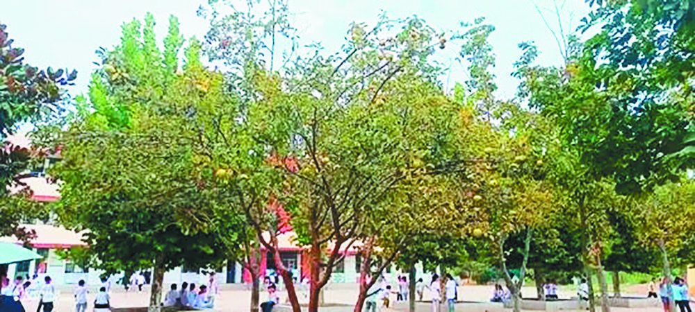 牛郎的时代烦恼|结婚生子_新浪财经_新浪网