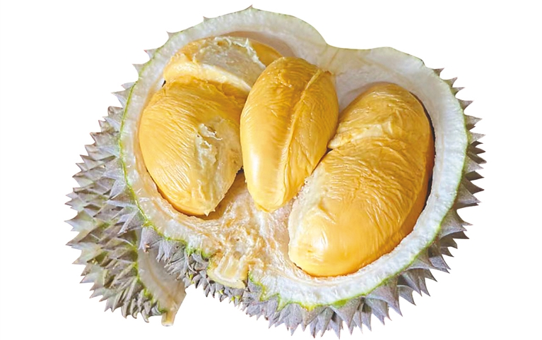 保亭:用心讲好榴莲故事|海南省_新浪财经_新浪网