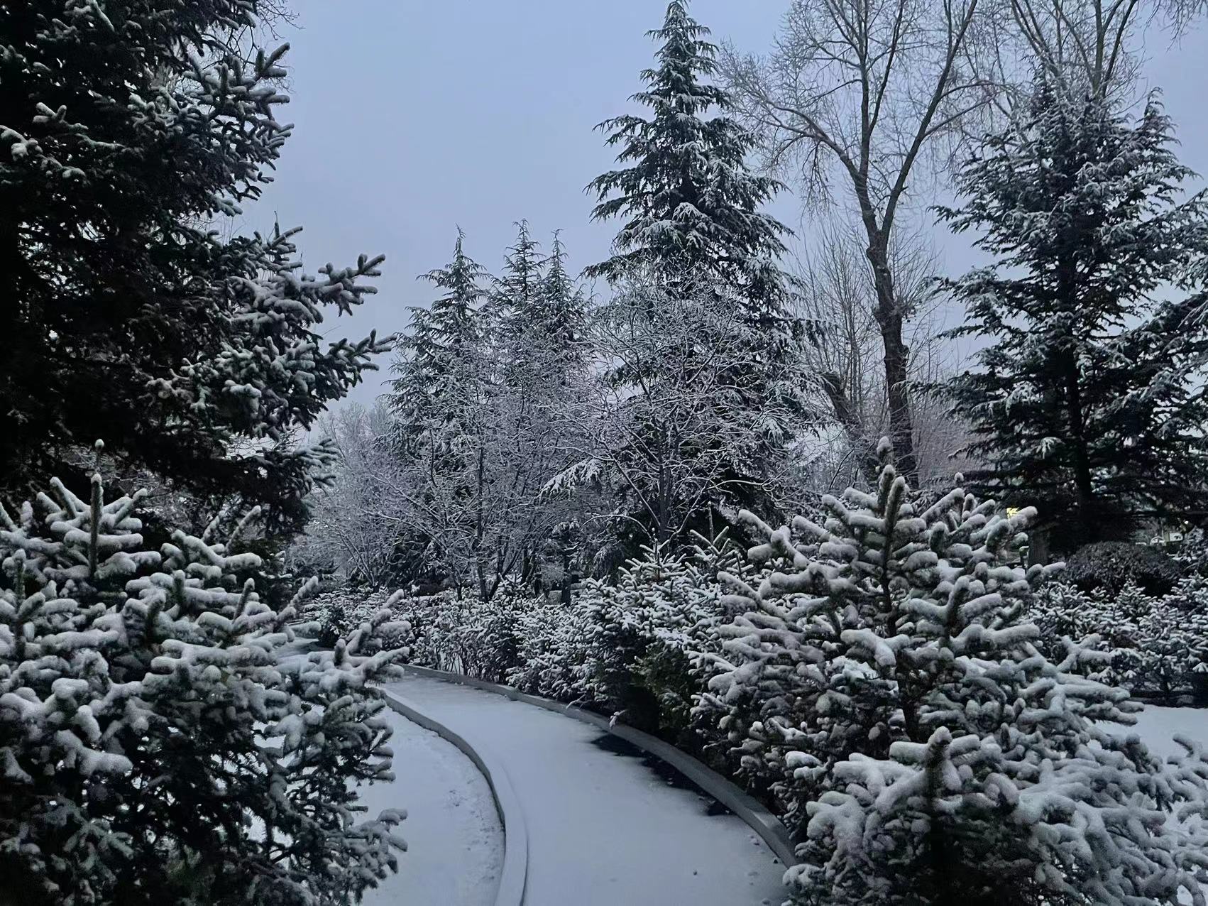 下雪的拉萨街头戏雪的小朋友雪后的布达拉宫雪中的拉萨北京中路