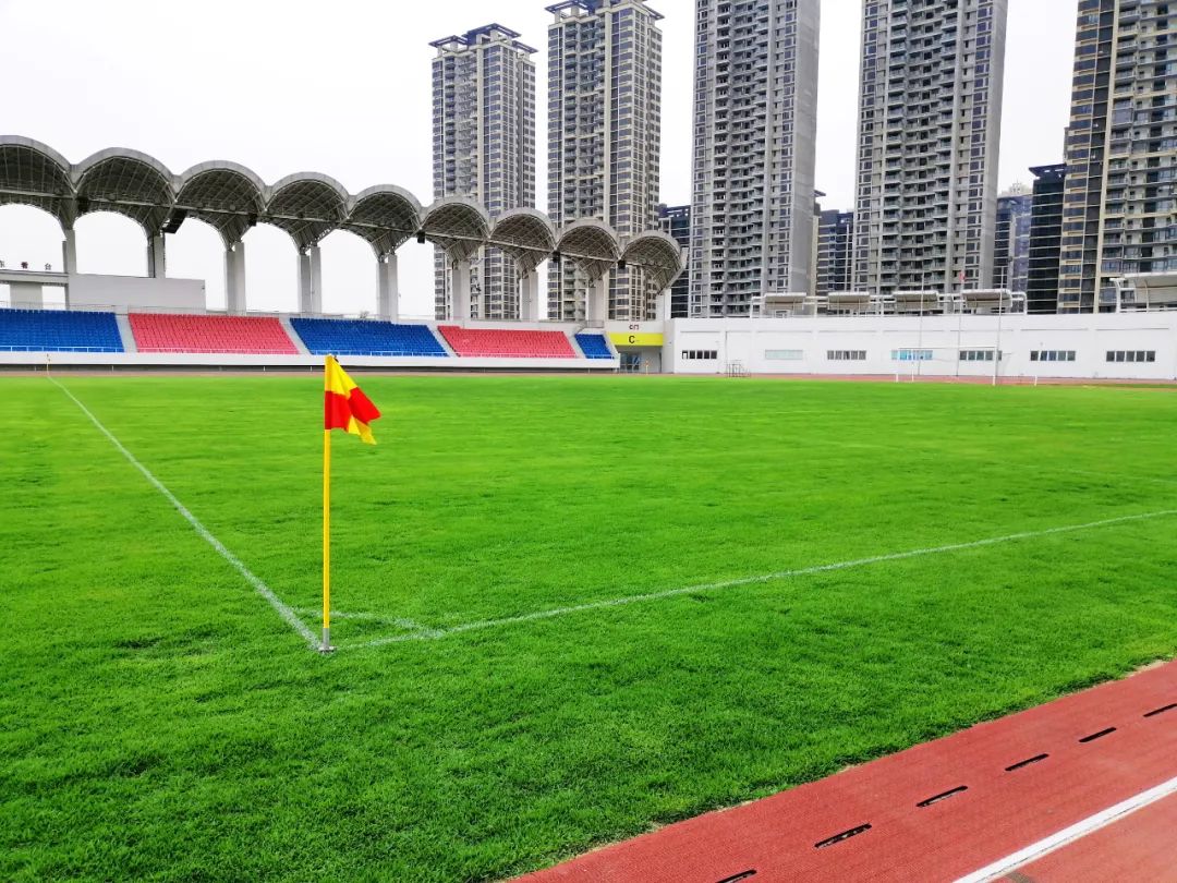 佛山哪里可以踢波?收好这份足球场攻略!|足球_新浪财经_新浪网