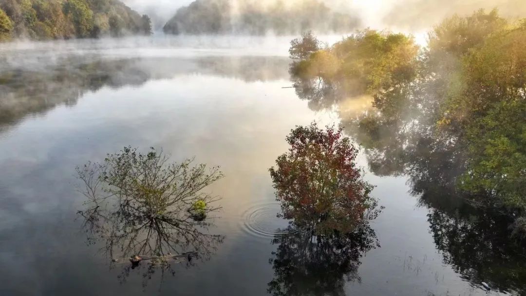 静谧的湖面雾气弥漫 徐生祥 摄