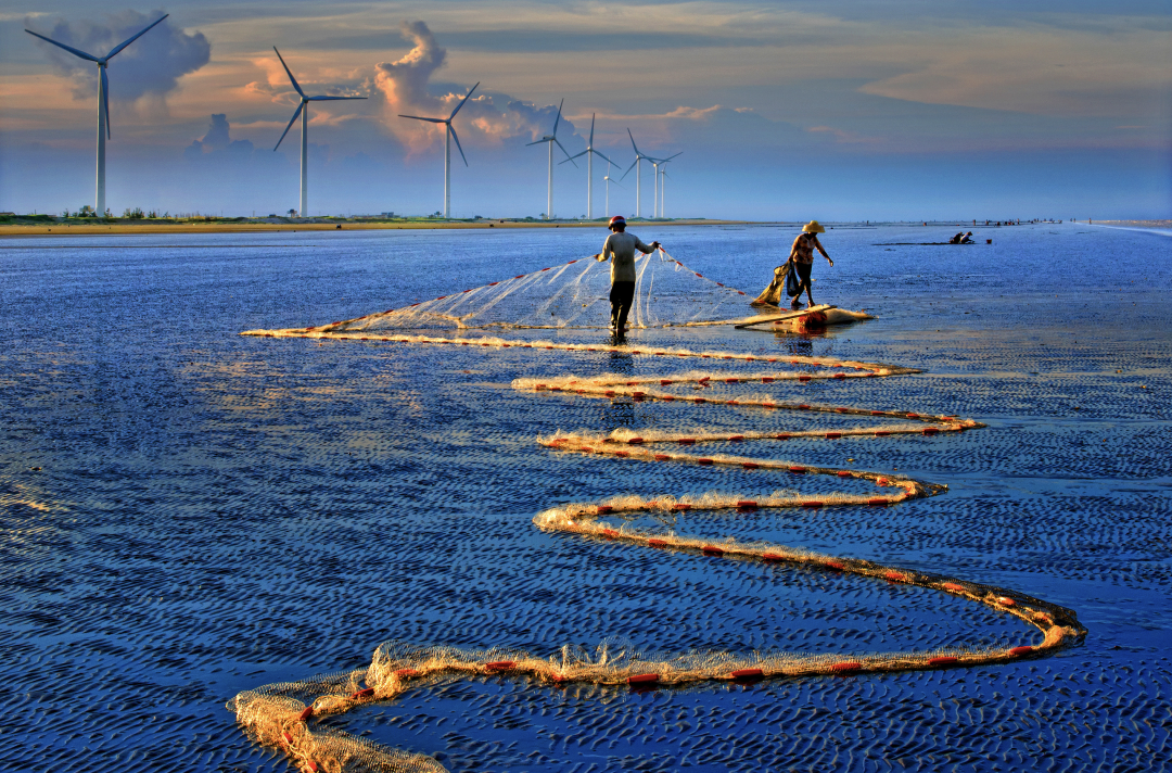 在湛江赶海当心无法自"拔"|湛江市_新浪财经_新浪网