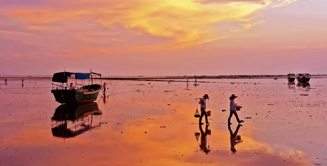 在湛江赶海当心无法自"拔"|湛江市_新浪财经_新浪网