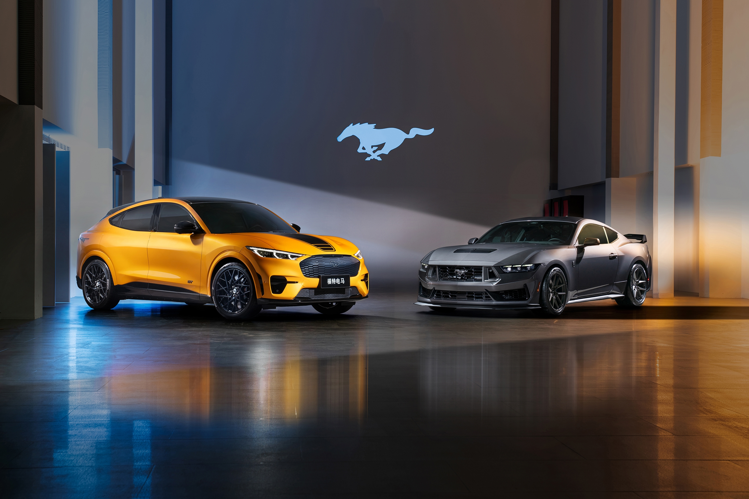 长安福特供图 华龙网发