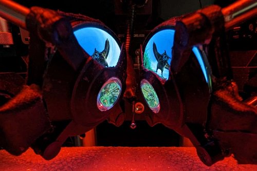 小鼠佩戴虚拟现实护目镜时可能看到的场景。图片来源：美国西北大学