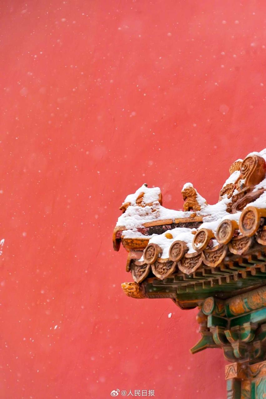 白雪红墙!故宫雪景再上新|白雪_新浪财经_新浪网