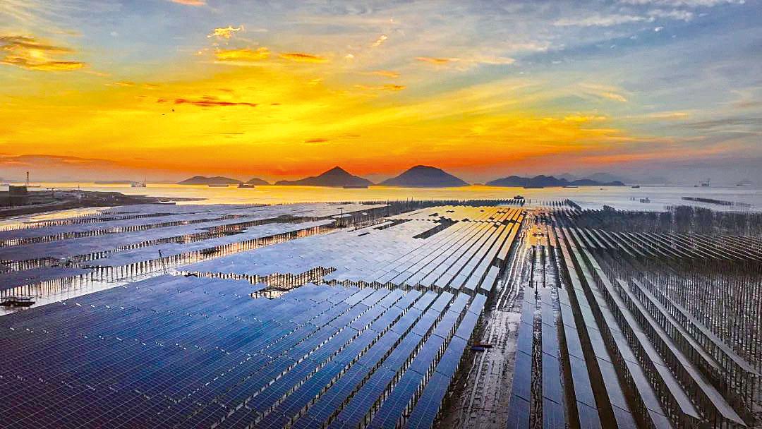 "核光储多能联合"互补滩涂光伏项目并网发电