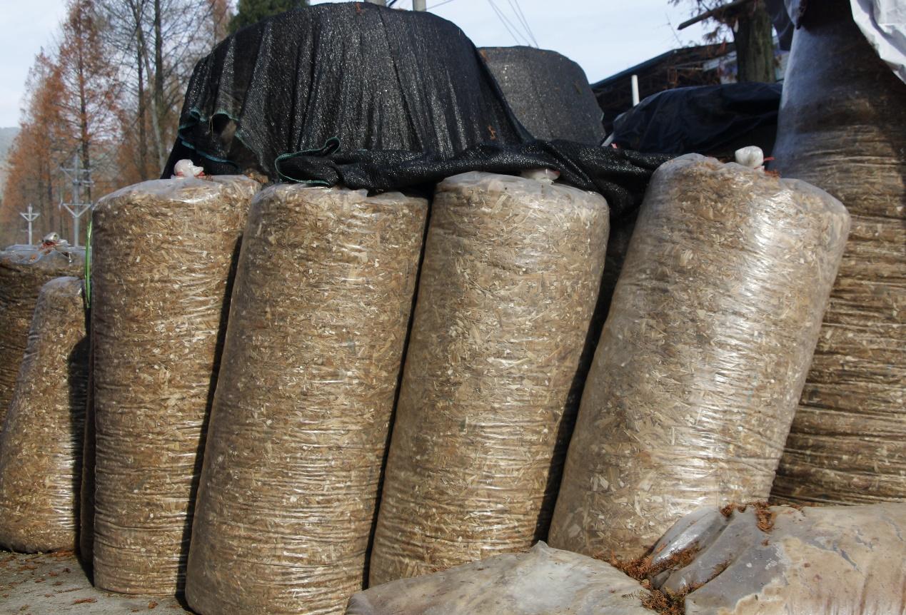 湖北利川:秸秆饲料化 降本促增收|湖北省_新浪财经_新浪网