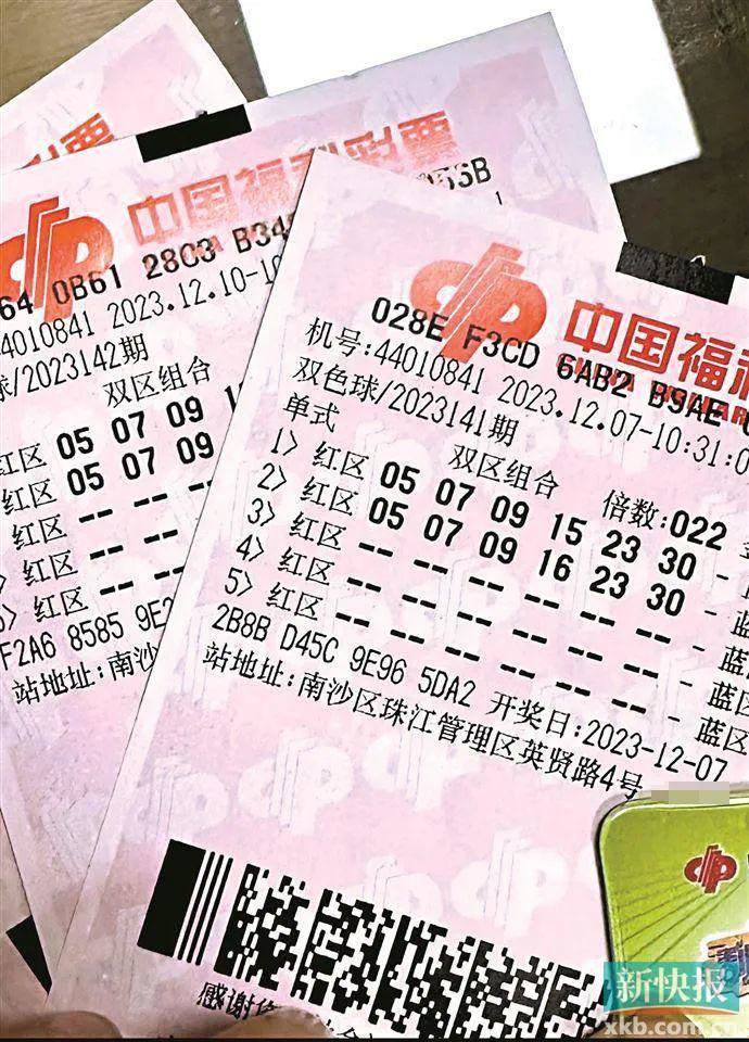 杨先生前两期的守号彩票