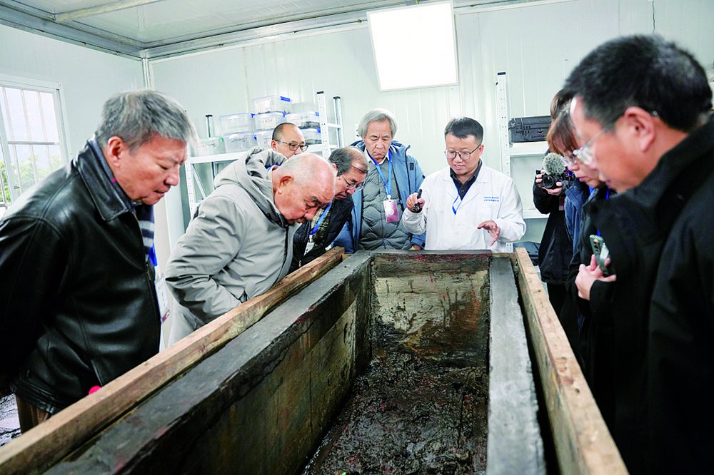 考古专家进行参观考察 据重庆日报
