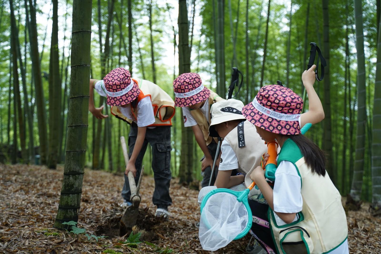 竹林生态研学