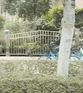 看了佛山阿叔骑自行车，才知道什么是高手在民间（组图） - 1