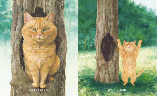 zym是什么什么样的绘本，每翻一页都是全新的世界？｜童书新品_https://www.jmylbn.com_新闻资讯_第5张