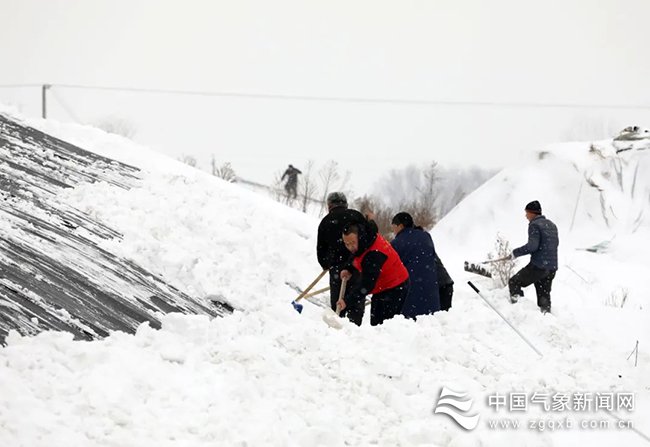 河北省广宗县气象服务人员帮助种植户清扫大棚积雪 图/王垒 
