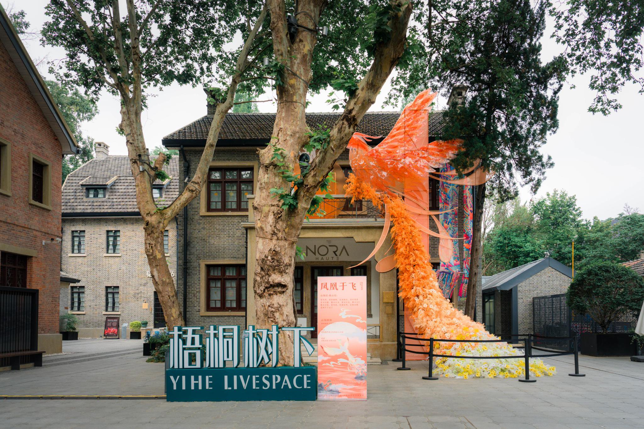 江苏南京:在颐和路,老房子里有了新故事