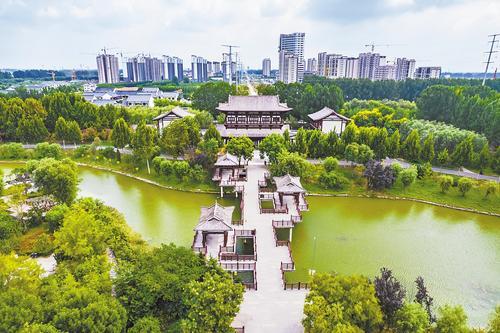 魏县积极探索林长制工作新机制