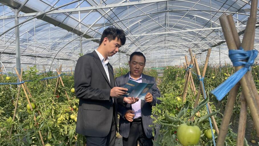 广发银行合肥分行驻村干部王晨熙(左一)向种植大户问询发展所需金融