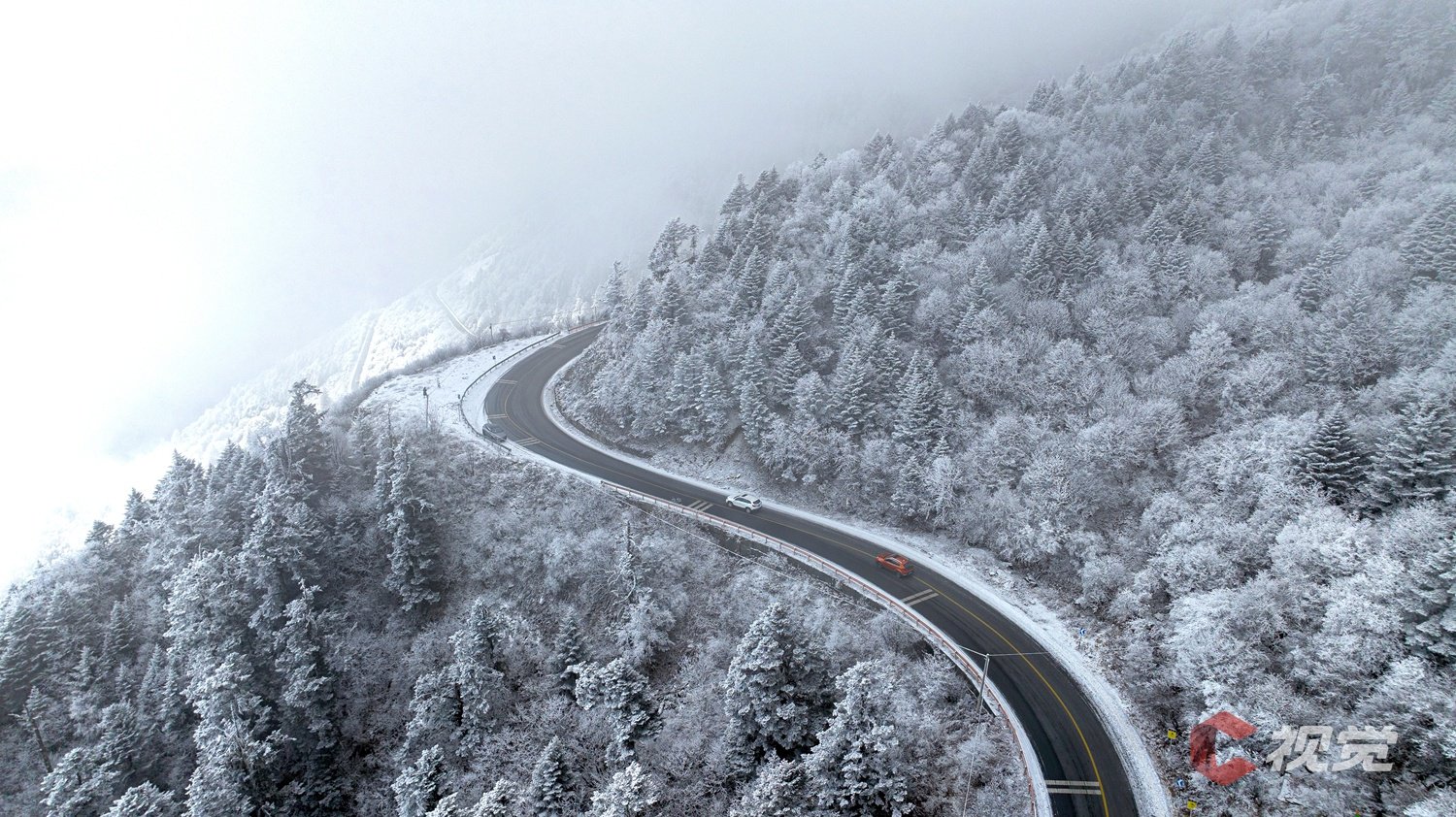 瞰"熊猫王国之巅"雪景|四川省_新浪财经_新浪网
