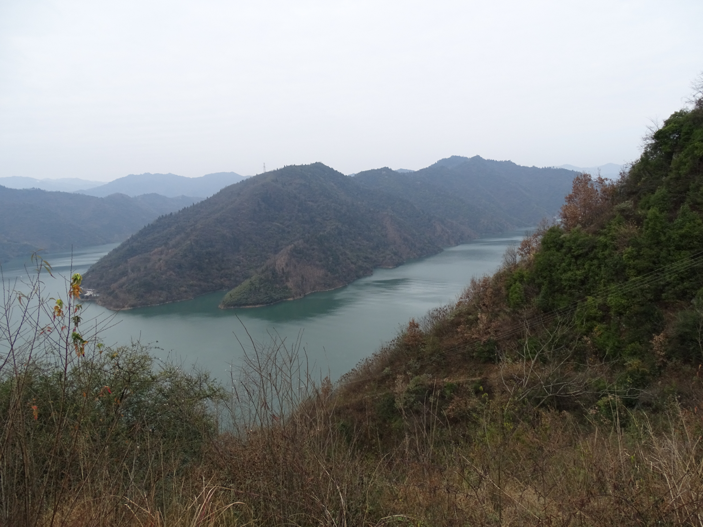 湖北十堰黄龙滩国家湿地公园:生物多样性保护成效显著|湖北省_新浪