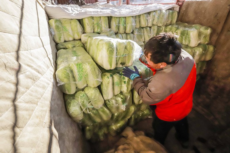 新华社发(刘满仓摄)12月20日,玉田县虹桥镇农民在仓库将蔬菜装车外运.