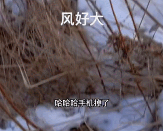 @sevenyears 横道河子