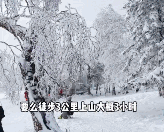 @张漂亮不怎么漂亮