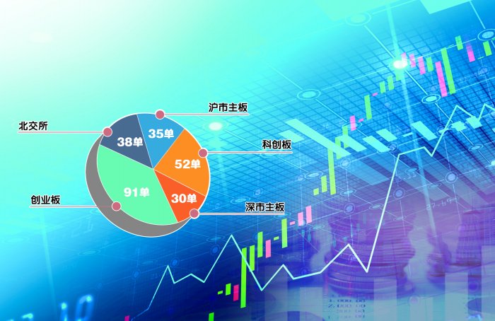 今年A股已有246单IPO终止审核 交易所问询透露“新考点”