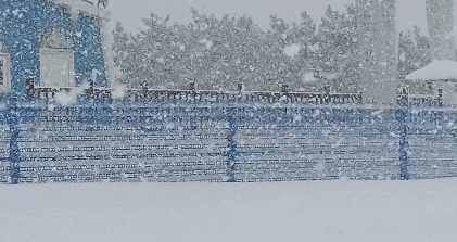 △烟台的冷流雪下出了“北极科考站”的嗅觉。