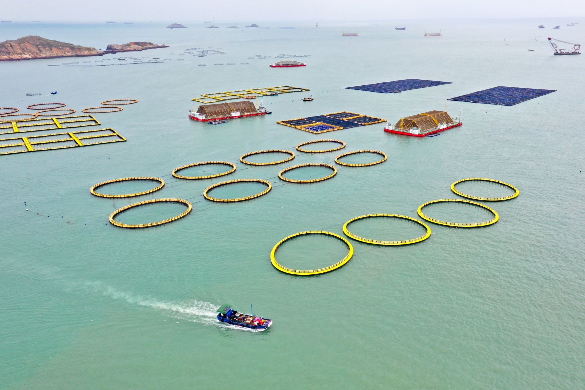 10月10日,福建省连江县定海湾内渔船经过深水网箱,渔排及深远海养殖