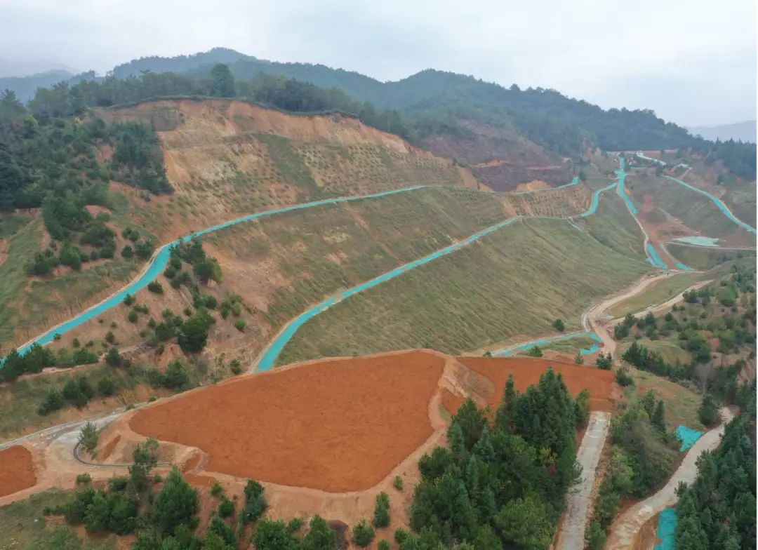 国土空间生态修复典型案例丨福建省大田县废弃矿山生态修复项目_新浪