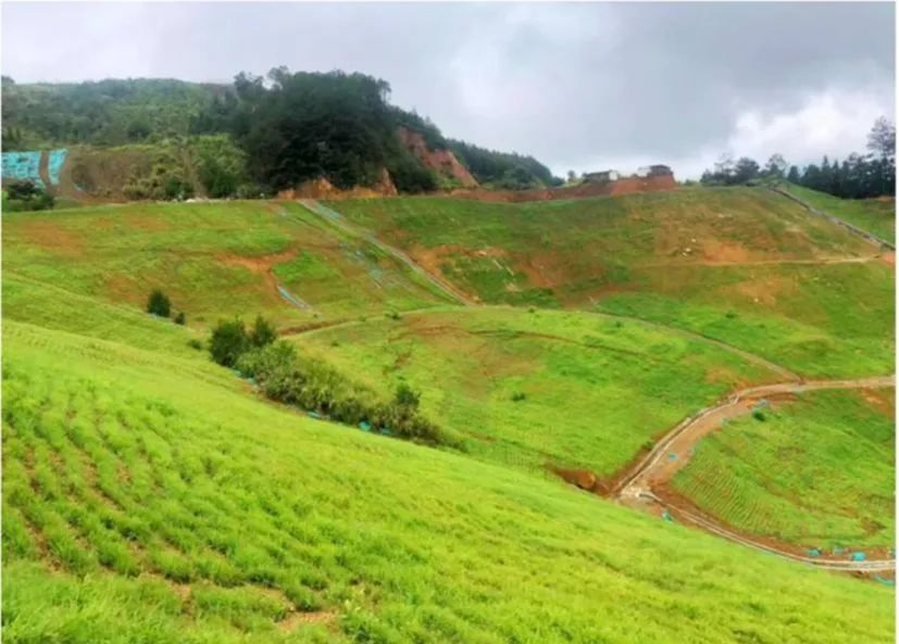 国土空间生态修复典型案例丨福建省大田县废弃矿山生态修复项目_新浪