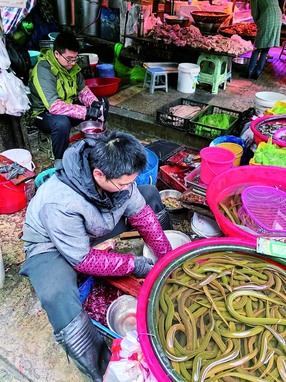 去观音桥野水沟赶场|宁浩_新浪财经_新浪网