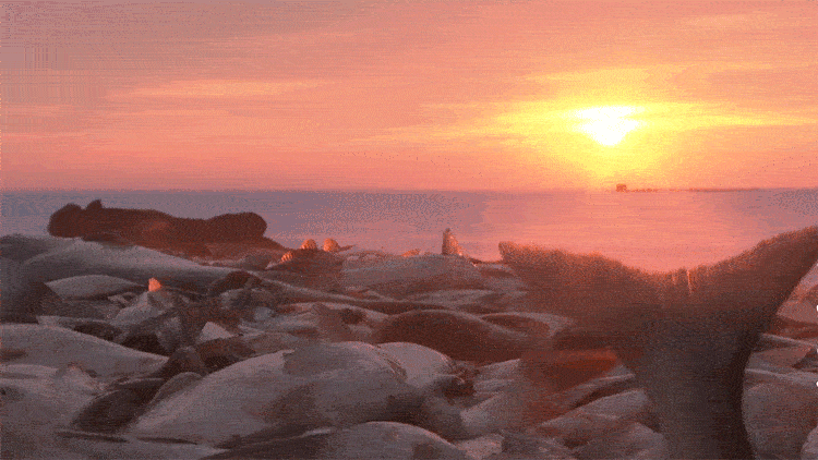 （图片来源 新华社）