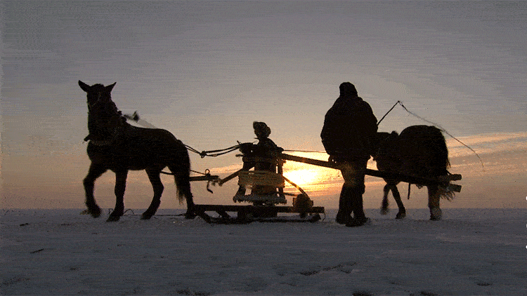 （图片来源 新华社）