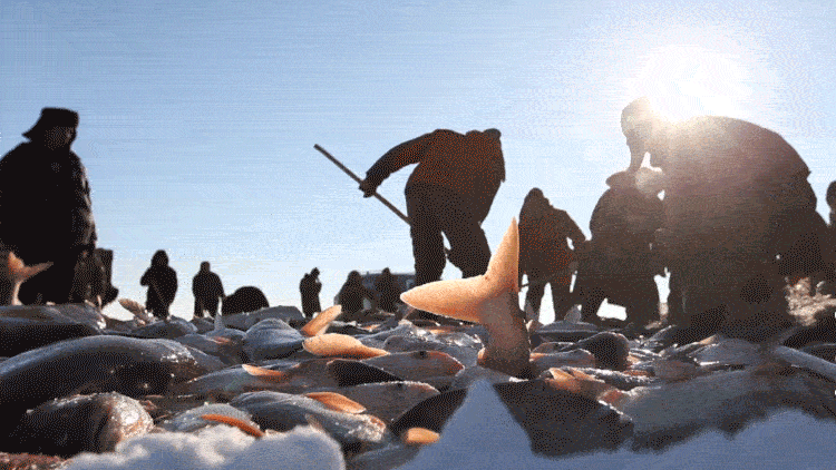 （图片来源 新华社）