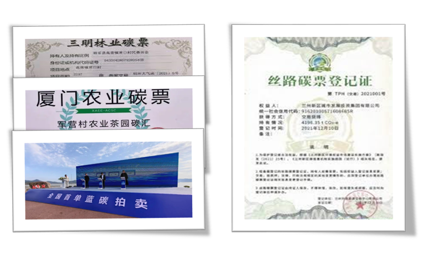 中共中央、国务院：探索实施林业碳票制度！什么是碳票？如何变成钞票？|林业_新浪财经_新浪网