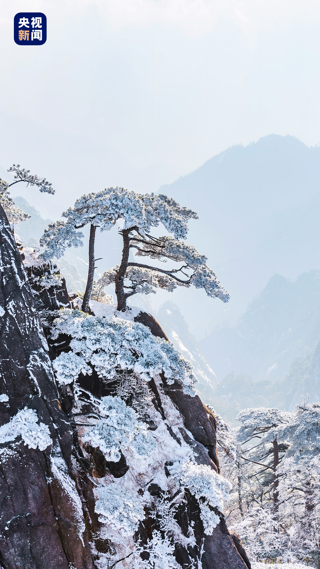 黄山冬季雾凇风光