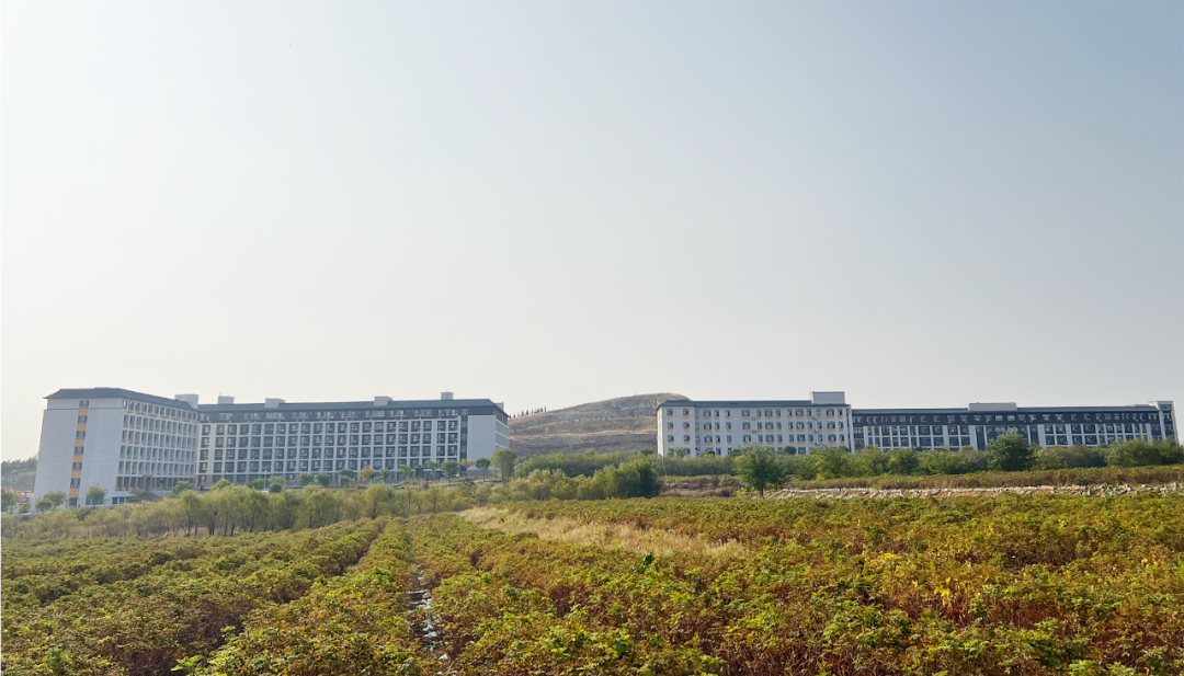 &nbsp;安丘市国开中学建造前后对比图