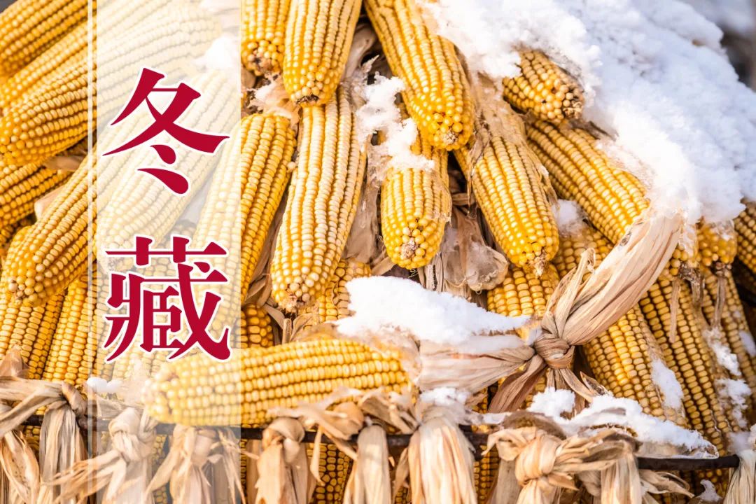 自然致语 | 冬藏_新浪财经_新浪网