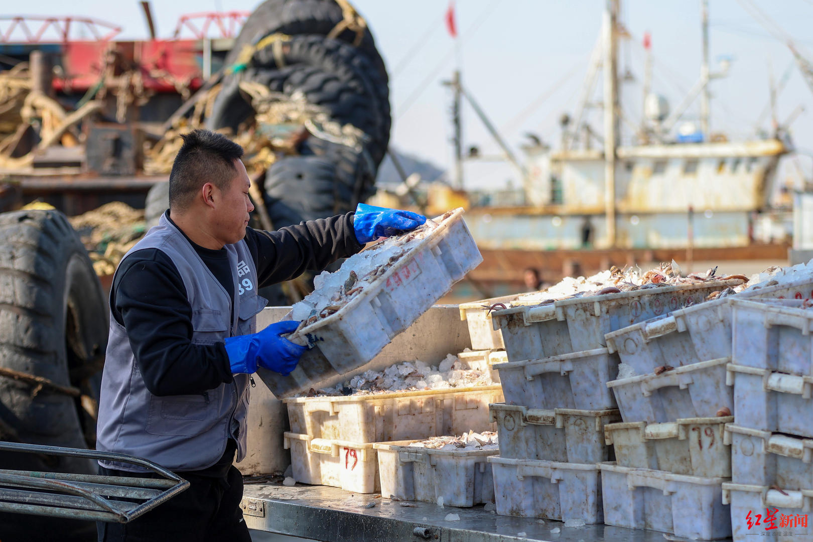 12月24日,舟山国际水产城码头,工人们将新鲜渔获转运上岸.
