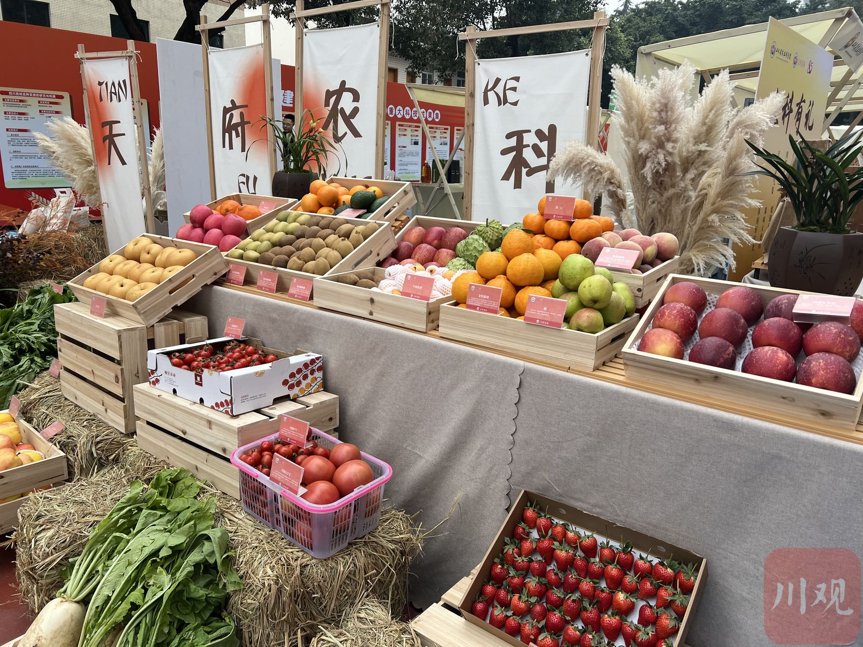 特色农产品展示.