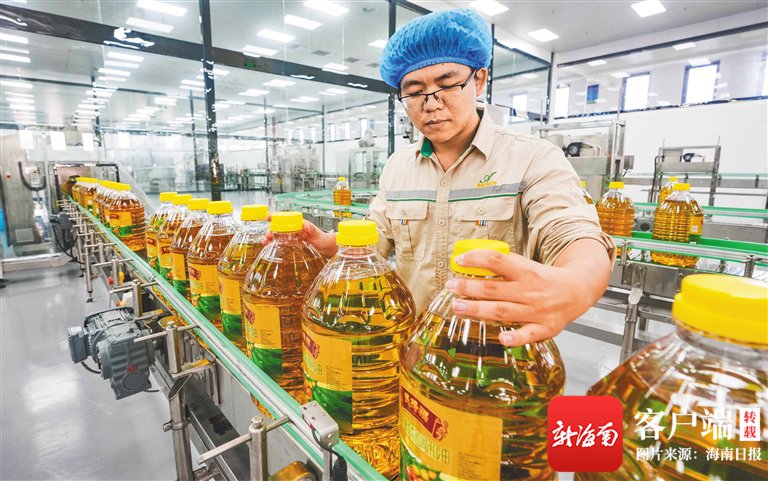 小型榨油机：开启健康生活的秘密武器
